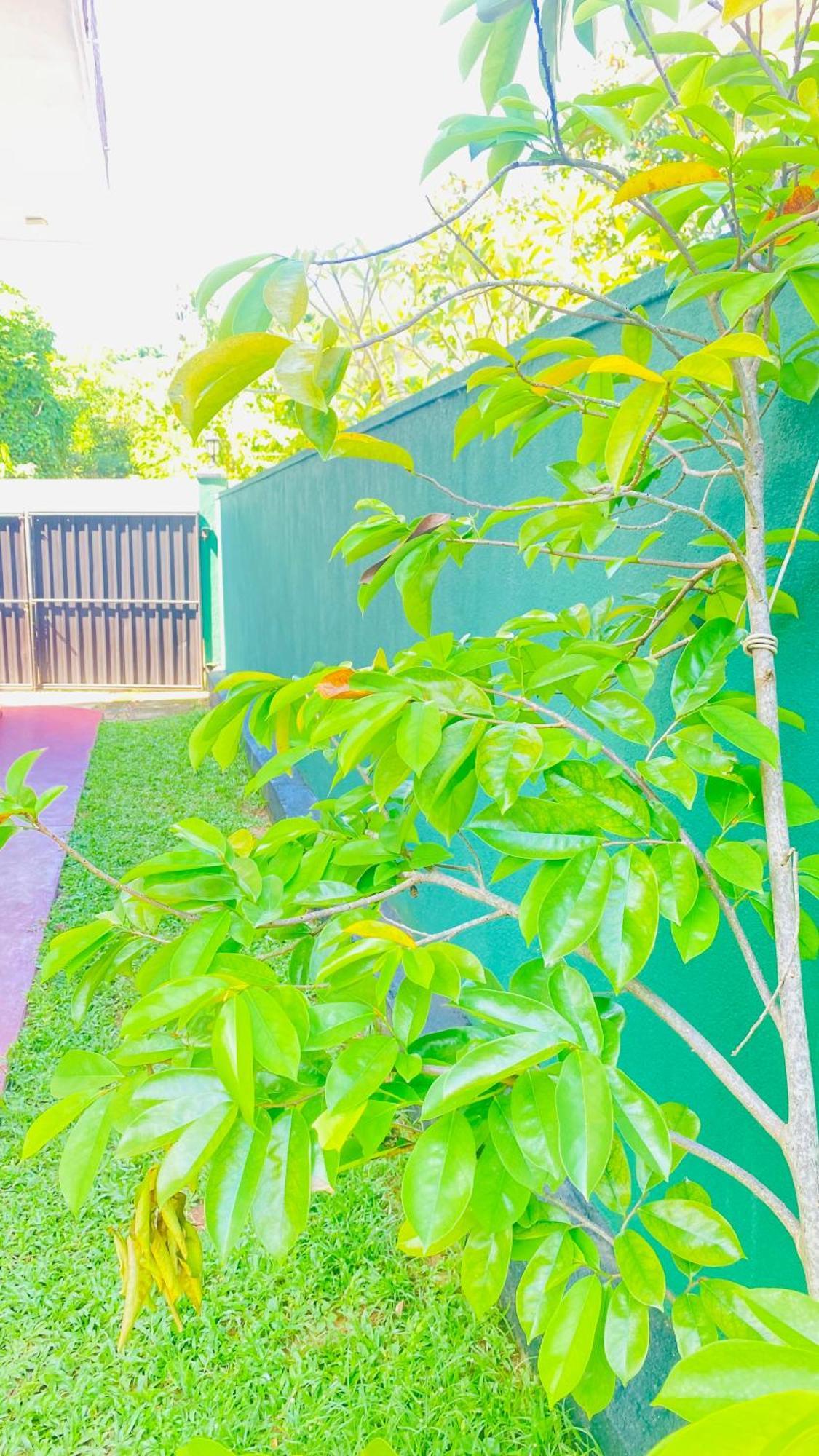 Sanasuma Villa Bentota Extérieur photo